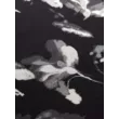 517636-00-XS