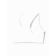 522519-07-XS