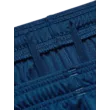 Férfi rövidnadrágok Under Armour UA Tech WM Graphic Short