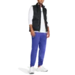 Férfi mellény Under Armour UA CGI DOWN VST
