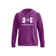 Női felső Under Armour UA Rival Fleece Big Logo Hdy