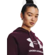 Női felső Under Armour UA Rival Fleece Big Logo Hdy