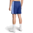 Férfi rövidnadrágok Under Armour UA M's Ch. Knit Short