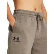 Női rövidnadrágok Under Armour UA Essl Flc Relax BF Short