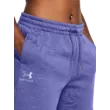 Női rövidnadrágok Under Armour UA Essl Flc Relax BF Short