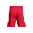 Férfi rövidnadrágok Under Armour UA Baseline Short