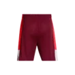 Férfi rövidnadrágok Under Armour UA Zone 7in Short-RED