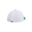 Férfi baseball sapka Under Armour M DRIVE PM STR