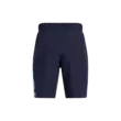 Fiú rövidnadrágok Under Armour UA Tech Woven Graphic Short