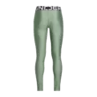 Lány leggings Under Armour HG Legging