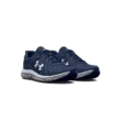 Férfi cipők Under Armour UA Charged Assert 10