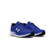 Férfi cipők Under Armour UA Charged Assert 10