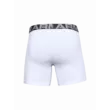 Férfi boxeralsó Under Armour Charged Cotton 6in 3 Pack