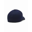 Férfi baseball sapka Under Armour Men's UA Team Blitzing