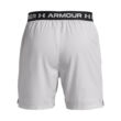 UA Vanish Woven 6" Shorts
