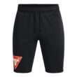 Project Rock Terry Tri Shorts