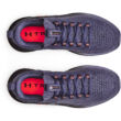 UA Flow Dynamic