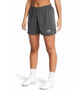 UA W's Ch. Knit Short-GRY_main.webp