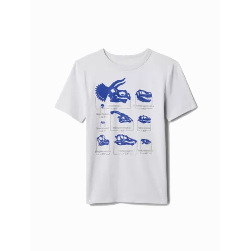 433676-04-XS