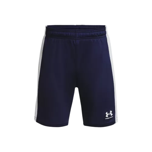 Fiú rövidnadrágok Under Armour UA B's Ch. Knit Short