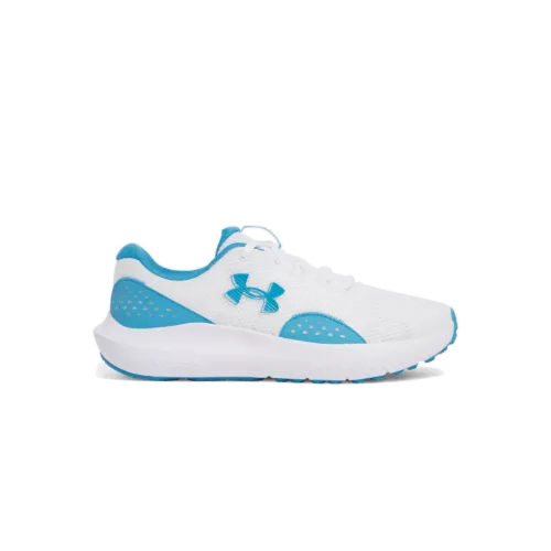 Férfi cipők Under Armour UA Charged Surge 4