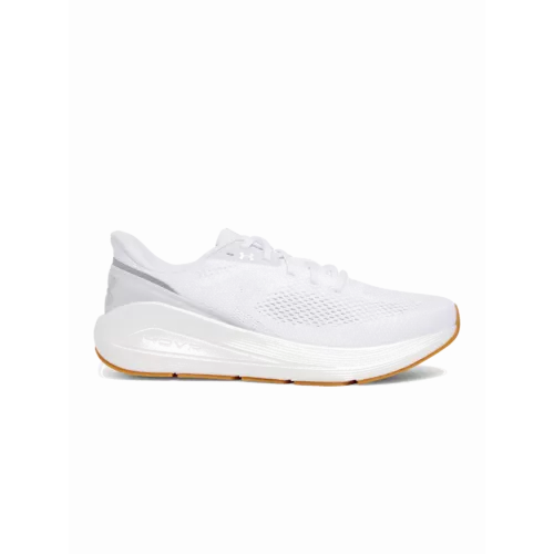 UA Sonic 7_main.webp