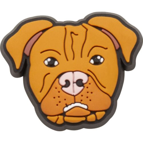 CROCS PITBULL