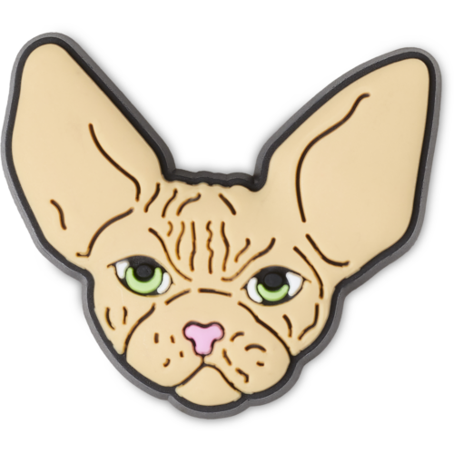 CROCS HAIRLESS SPHYNX CAT